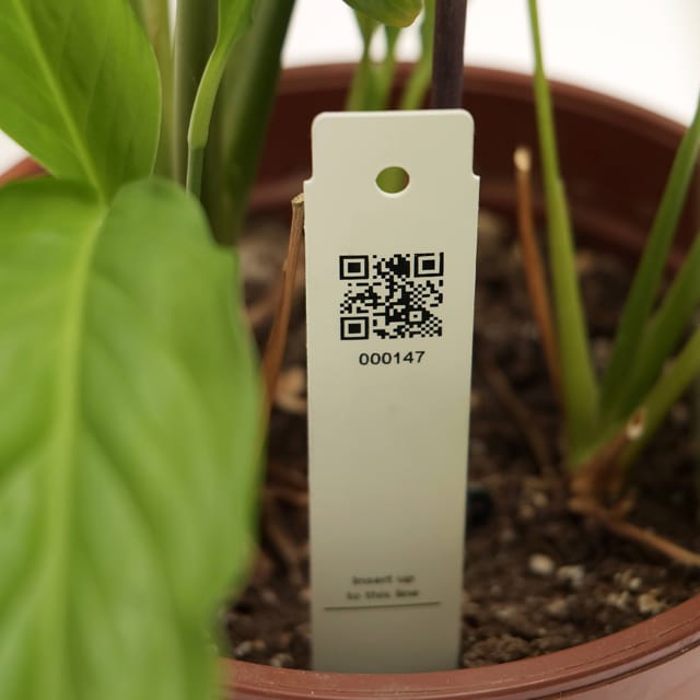 STAKE-TAG
