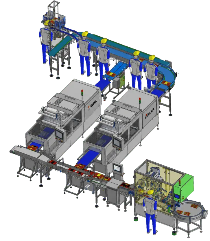 Fish Packing Line